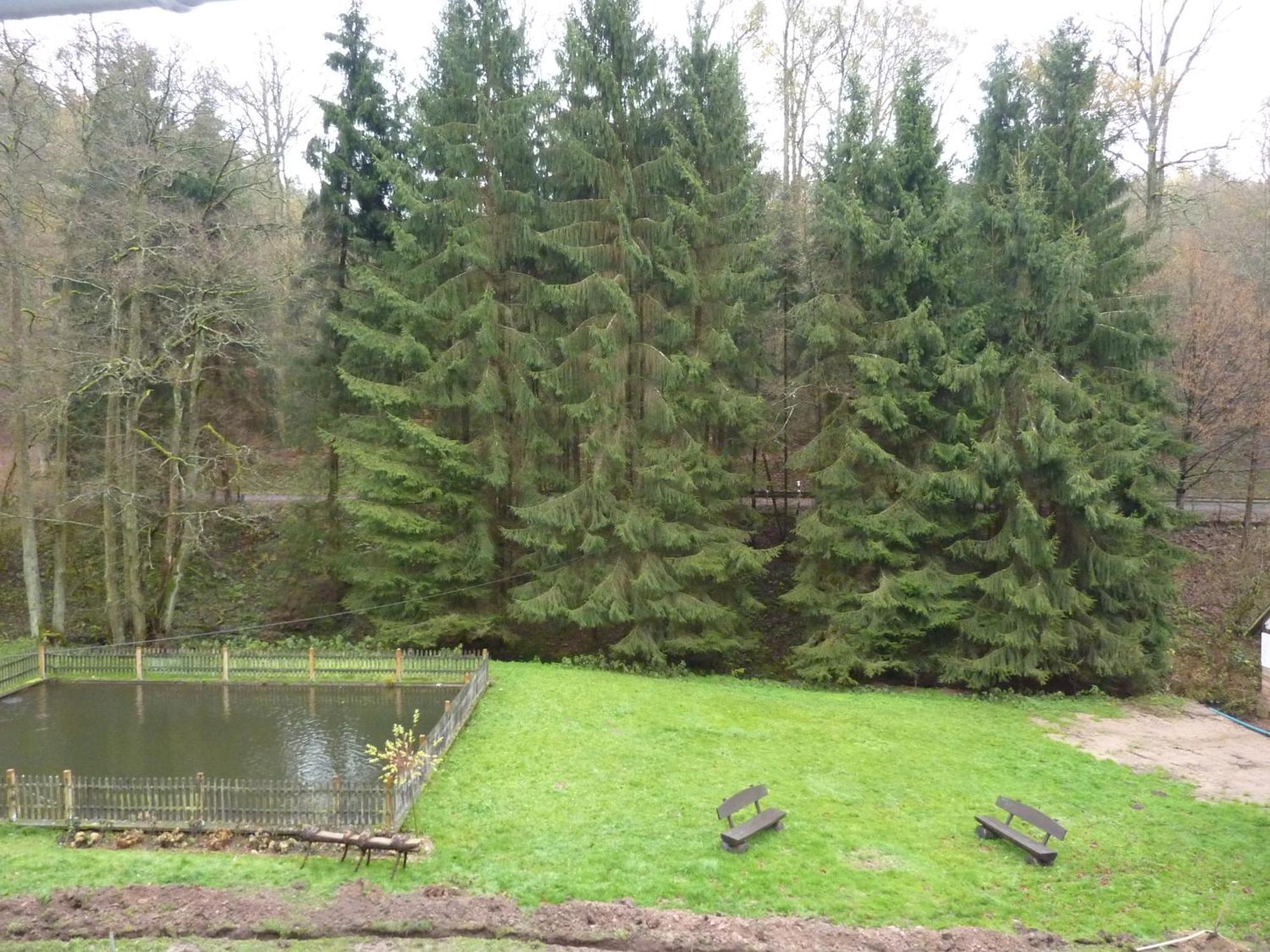 Hof Guttels Waldgasthof Ferienpension Rotenburg an der Fulda Zimmer foto